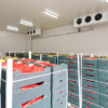 Cold Storage Warehouse